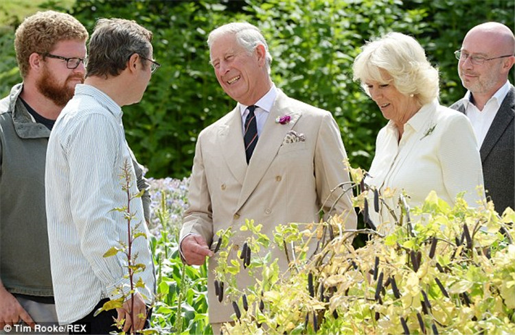 英國ESSE壁爐品牌介紹配圖.jpg 英國ESSE壁爐品牌介紹配圖.jpg
